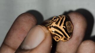 Gold men ring design