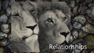 Relationships