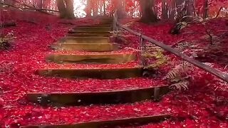 Beauty of nature