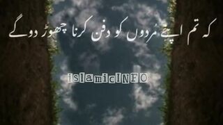 کہ تم اپنے مردوں کو دفن کرنا چھوڑ دو گے..islamicINFO
