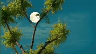 Surah-AR-RAHMAN||BEAUTIFUL SHORT CLIP||