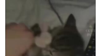 Funny video