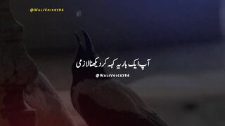 Islamic Videos