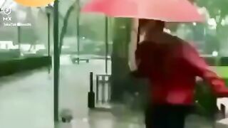 Funny videos