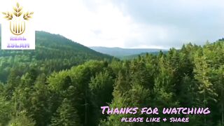Relaxing video with Quran recitation..