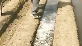 Simples technique to fill up your fields