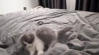 Play Time