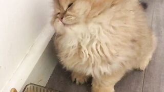 Let’s sleep