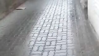 very funny vedio, Raining day in Dubai UAE