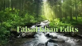 Nature Video