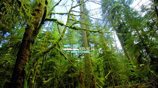 Vancouver Island in Canada