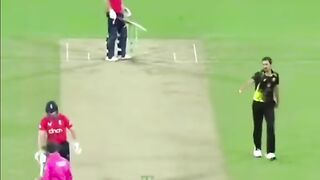 Funny ????Cricket Match 2023