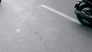 KTM RC300 SUPER BIKE