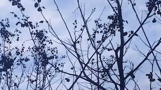Beautiful sky