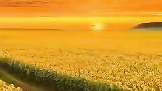 Nice sounds near to heartbreak