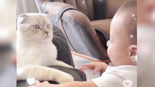 This young boy loves spending time with his cherished pet#febspot