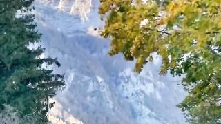 Beautiful nature | amazing nature view | subscribe
