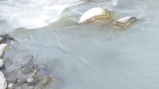 Yark crossing river