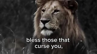 motivational quotes #2
