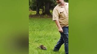 funny animal