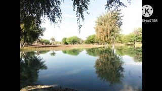nature beautiy