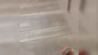Baby funny cat ????