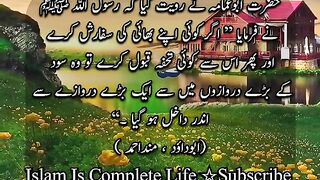 Bhai ki Sifarish kare phir usse Tohfa Qabool kare