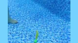Baby swimming