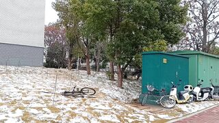 Snow Falling