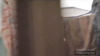 Funny Cats Jump Fail Compilation????