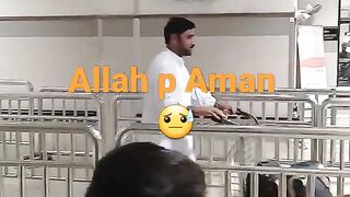 Musafer da bal watan
