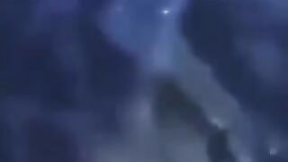 Unexpected! Shark????