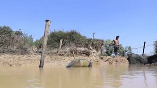 Unbelievable Fishing Technique | Best Underground Fishing With Eggs Catch Fish in Hole