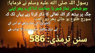 HADEES E NABVI