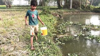 Amazing Hook Fishing Video | Catching Catfish hunting in Village Smart Small Boy Fishing With Hook.