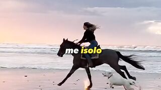 Motivaçaodiaria