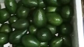 Avocado Blue Barries