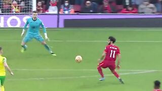 Salah best