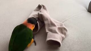 Didn't wash my socks again