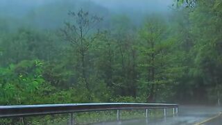 Beautiful Weather