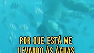 Motivaçaodiaria