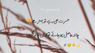 Sad Poetry