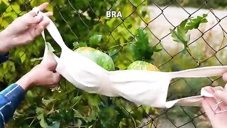Amazing Plant Hacks And Best Garden Gadgets