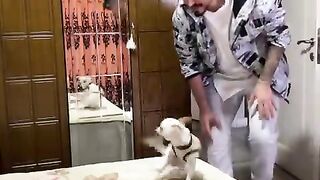 Lovely pets video