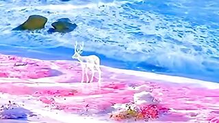 Surah Al-Mulk full ||  (HD) |سورة الملك|