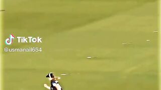 Cricket lover