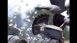 Sad scene ever on the youtube