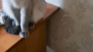 Просто снял прикольное видео