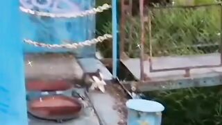 Funny video