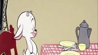 Funny cartoon ???? video